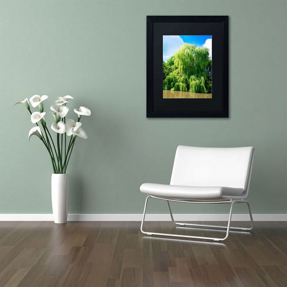 Trademark Fine Art "Weeping Willow" Canvas Art by Philippe Sainte-Laudy, Black Matte, Black Frame