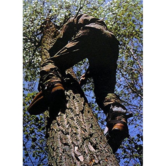 Pair of Sport Climbers