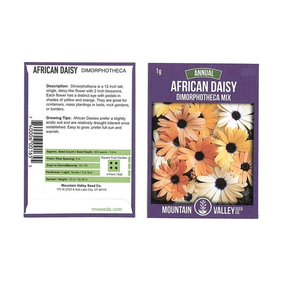 Mixed Colors Dimorphotheca Flower Garden Seeds - 1 Gram Packet - Annual Flower Gardening Seeds - AKA African Daisy