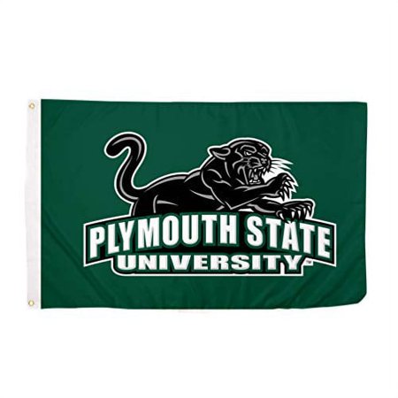 Plymouth State University Panthers NCAA 100% Polyester Indoor Outdoor 3 feet x 5 feet Flag