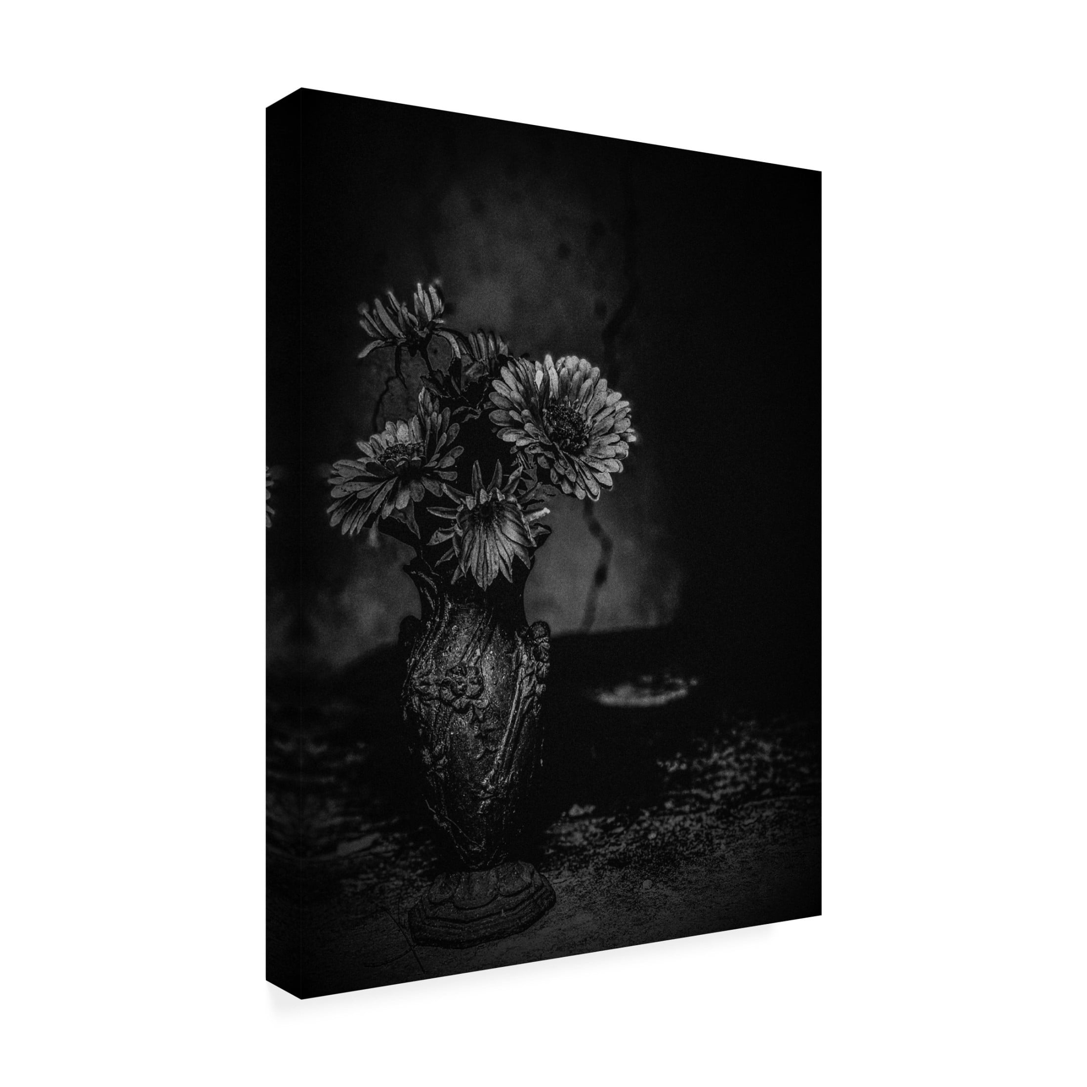 Trademark Fine Art Delphine Margau The Cracks Canvas Wall Art