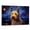 Berger Picard, variant on Otterhound Canvas Van Gogh Starry Night Framed Gifts For Her Artwork For Bedroom Personalized Dog Canvas Gifts For Husband Wall Decorations For Your Room (Birthday Gifts)