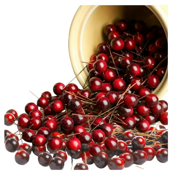 3pks Artificial Berry Picks (Approx. 600pcs) - for Winter Decor and DIYs - Factory Direct Craft