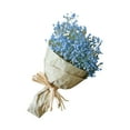 thumbnail image 1 of Natural Dried Flower Home Decor Natural Dried Flower Full Stars Gypsophila, 1 of 4