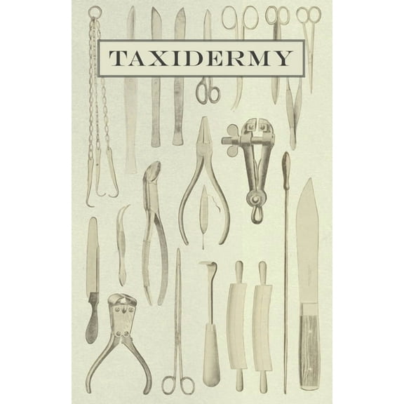 Taxidermy, (Paperback)
