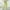 Yellow, variant on QUINDOS Clearance Pants for Women Under $10 Wide Leg High Waisted Long Casual Pants Button Relaxed Fit Trousers with Pockets