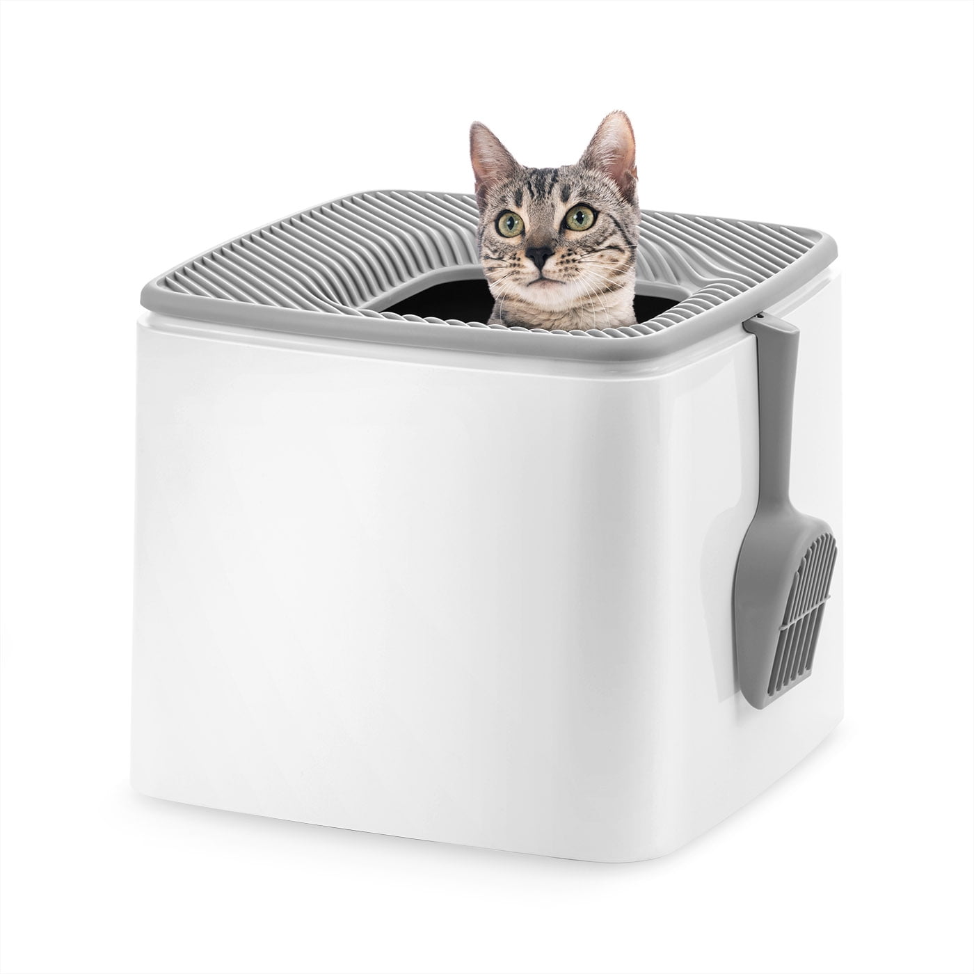 Iris cat box online