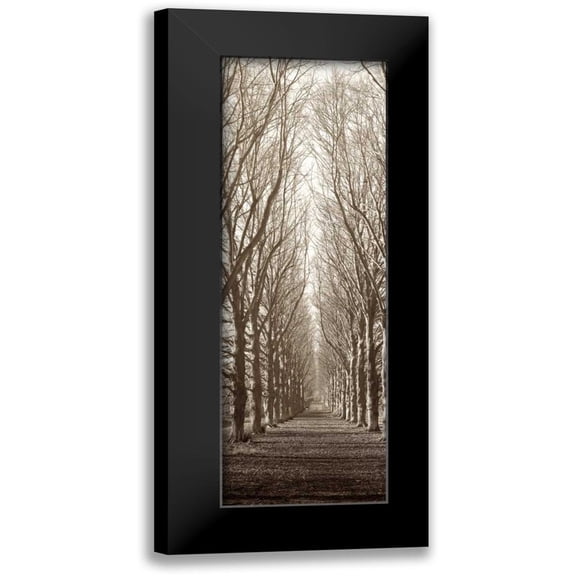 Blaustein, Alan 7x14 Black Modern Framed Museum Art Print Titled - Hampton Gates Promenade