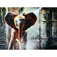 thumbnail image 2 of Aldridge, Ashley 32x25 White Modern Wood Framed Museum Art Print Titled - Baby African Elephant Hose Down, 2 of 4