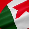 thumbnail image 5 of Manfei Algerian Flag Kitchen Curtains,Patriotic Theme Art Black Out Curtains Pack of 2 (42x63 Each),Green White Red, 5 of 7