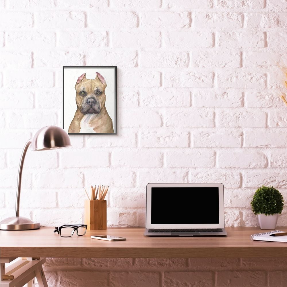 Stupell Industries Pit Bull Dog Pet Animal Watercolor Painting Framed Giclee Texturized Art by George Dyachenko