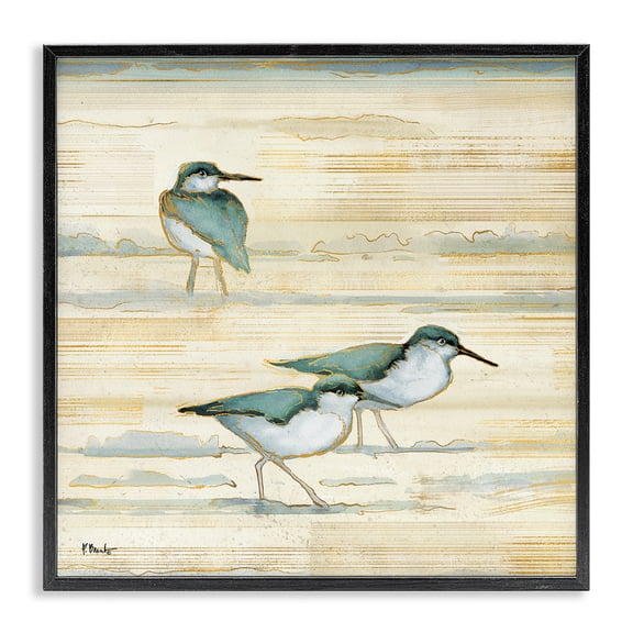 Stupell Industries Transitional Oceanside Sandpipers Beach Birds Black Framed Giclee Art, 12 x 12, by Paul Brent