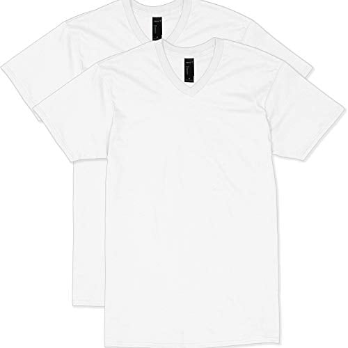 Hanes Men`s Nano-T V-Neck T-Shirt,498V,L,White (Pack of 2) 2 White ...