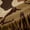 Brown, variant on Feelyou Camouflage Duck Black Out Curtains, Wildlife Curtains Pack of 2 (42x63 Each)