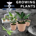 thumbnail image 6 of Kids Planting Room Toys,Solar Ecological Plant Toys,Science Education Experiment Toys,Kindergarten Learning Toys,Intelligence Development Toys,Children DIY Growth Toys,STEM Educational Toys, 6 of 6