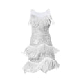 thumbnail image 1 of Vestido de baile latino para mujer, vestido con flecos y borlas de tango para fiesta de baile en discoteca Plata L, 1 of 9