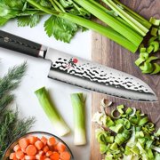 Miyabi Mizu SG2 7 Santoku Knife