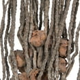 thumbnail image 2 of Vickerman Natural Botanicals 32" Coco Jhar, Natural. Includes 10  pieces per Pack., 2 of 5