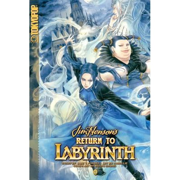 Pre-Owned Return to Labyrinth Volume 3 (Paperback) 1598167278 9781598167276