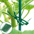 thumbnail image 1 of PRETXORVE Attaches de Jardin Réutilisables Serre Multiusage, 1 of 5