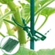 thumbnail image 1 of Pack de 100 Lazos para Plantas de Jardín | Cintas reutilizables de soporte vegetal de plástico flexible 13,5 cm | Sujetadores multiusos para árboles, arbustos y enredaderas verdes serrados para, 1 of 5