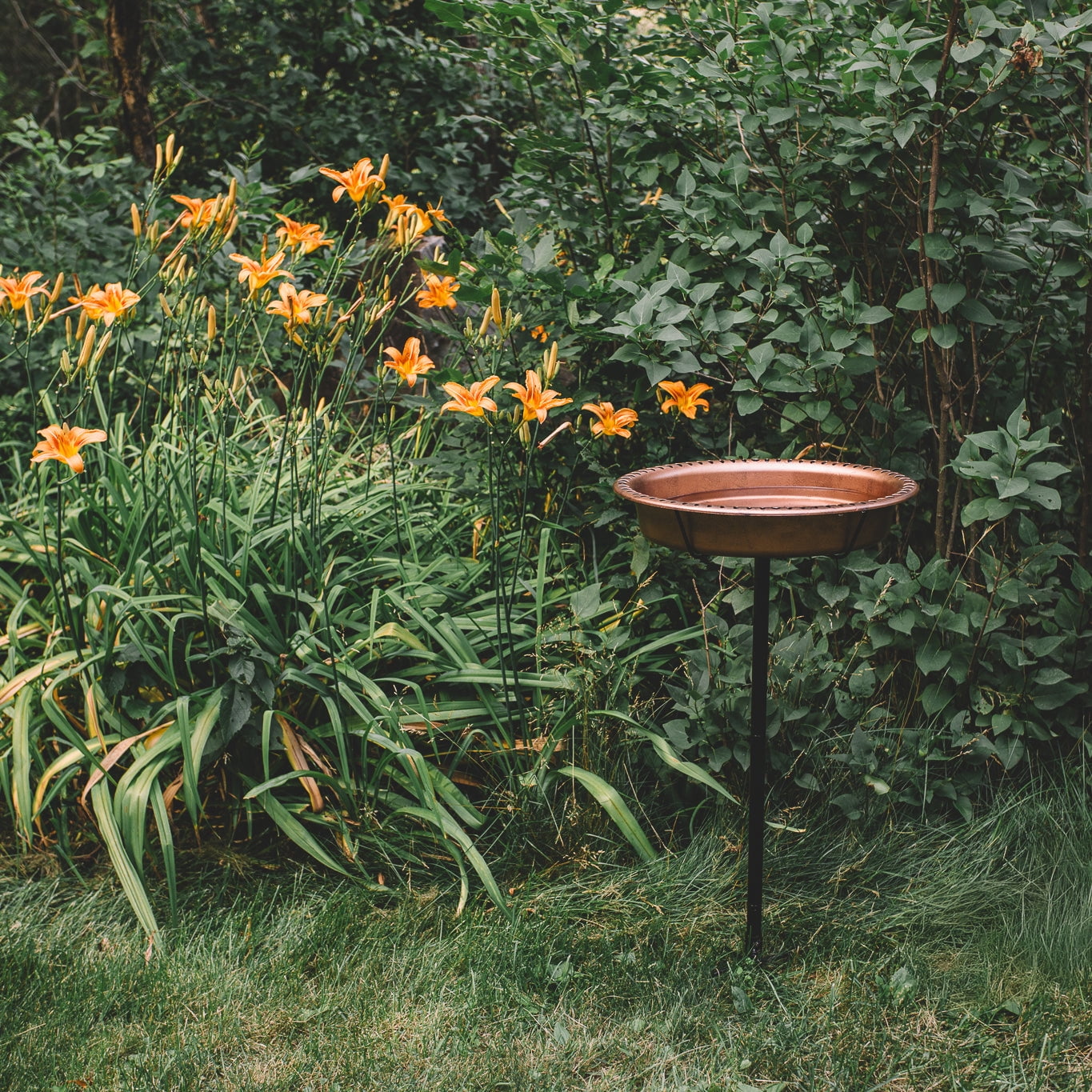 Backyard Expressions Oval Copper Finish Resin Garden Bird Bath with Ground Stake