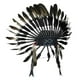 thumbnail image 2 of Accesorios de disfraces de sombrero indio para el vestido de Halloween de la fiesta de cosplay, 2 of 8
