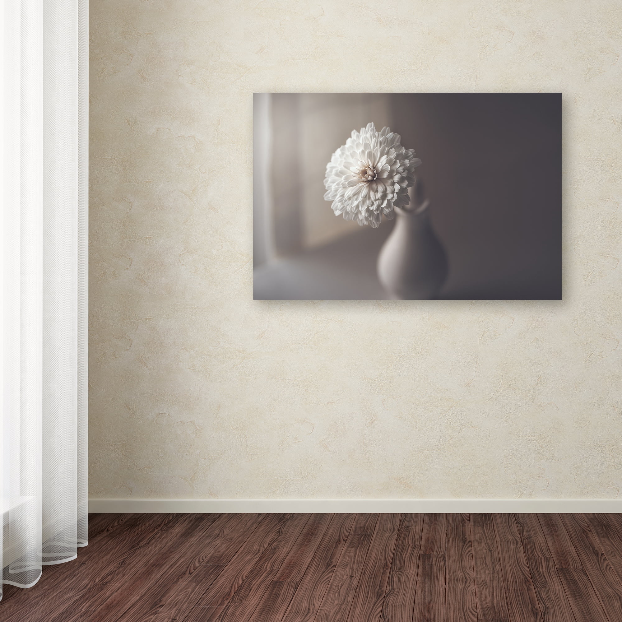Trademark Fine Art 'Window Light' Canvas Art by Jose Antonio Sánchez