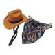 thumbnail image 1 of Accesorios de vestuario de vaquero de mascota sombrero de vaquero y pañuelo divertido para el cumpleaños del marino s, 1 of 8