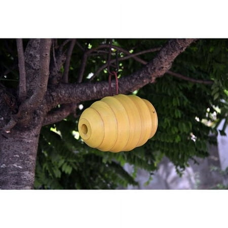 Byer of Maine Bee Hive 8 in x 6 in x 6 in Birdhouse