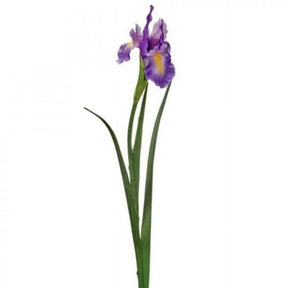 MDR Trading Inc. CM-RT881PU_Q01 Purple Dutch Iris Stem Artificial Flower