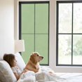 thumbnail image 2 of Solid Grass Window Privacy Film Green Decorative Glass Window Film UV Blocking Static Cling Non-Adhesive Sticker Covering for Home Door 29.5 x 78.7 inches, 2 of 8