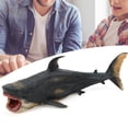 thumbnail image 4 of Modelo Educativo De Regalo, Modelo De Tiburones Modelo Raro Animal Plástico, Para Niños Educativos, 4 of 7