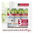 thumbnail image 4 of 3 Pack de bebida vegetal Nature's Heart almendra y avena sin azúcar 946 ml c/u, 4 of 4