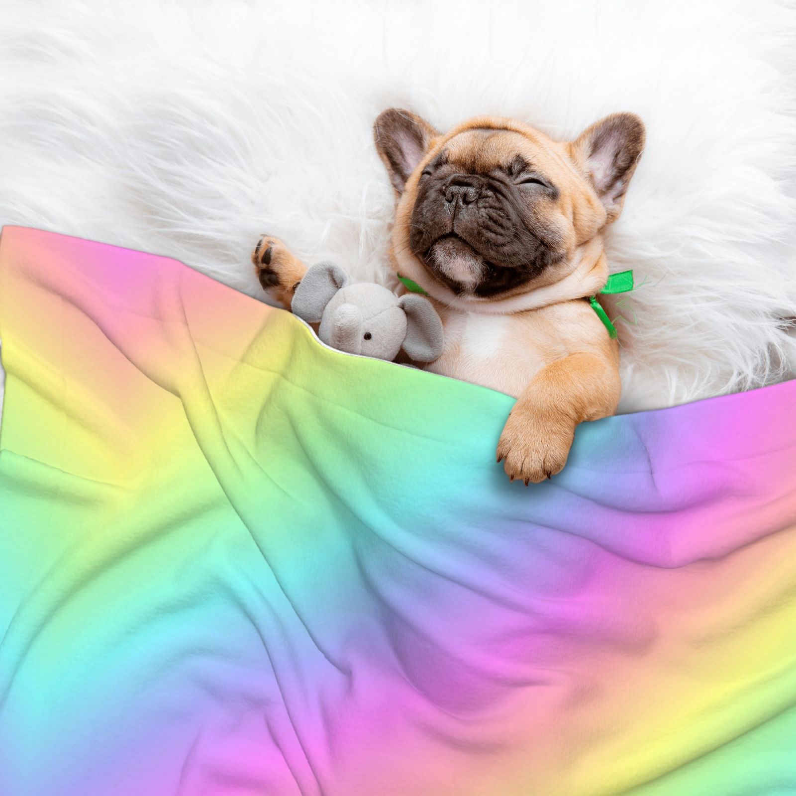 Rainbow Stripe Dog Blanket Soft Warm Flannel Cat Blanket Great Pet Throw for Cats Puppy Small Medium Large Dog
