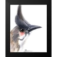 thumbnail image 2 of Shefranov, Olga 15x18 Black Modern Framed Museum Art Print Titled - Black Beak III, 2 of 5