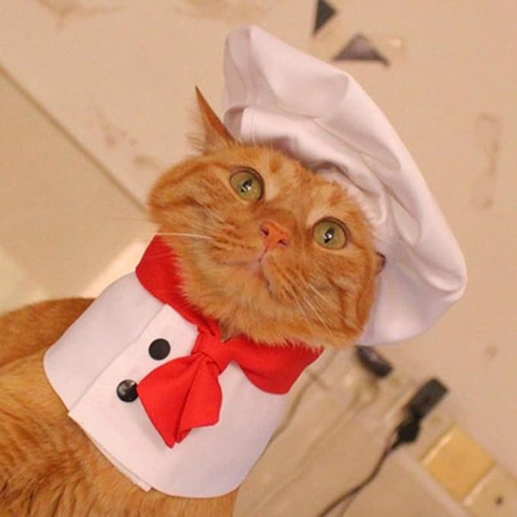 Ropa para Perros y Gatos Sombrero de Cocinero Ropa para Mascotas Cómoda