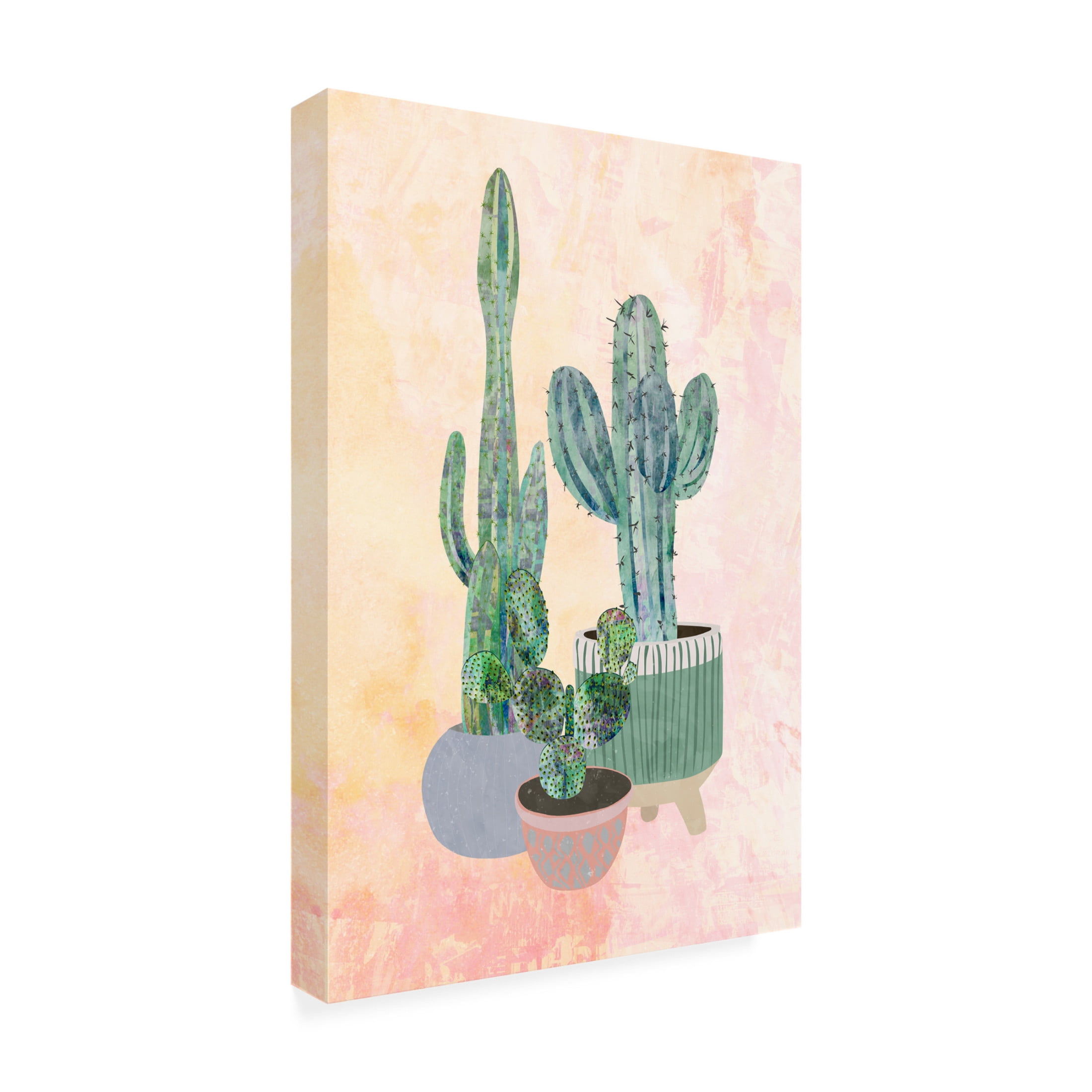 Trademark Fine Art Sarah Manovski Boho Cactus Trio Canvas Wall Art