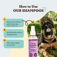 thumbnail image 4 of Spray Desodorante para Perros Natural Dog Company Lavanda 237 ml, 4 of 7