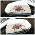 thumbnail image 5 of Deyuer 3D Spider Lizard Scorpion Car Sticker Vehicle Window Mirror Bumper Decal Decor, 5 of 8