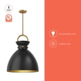 thumbnail image 2 of PD411318AGMB-Alora Lighting-Waldo - 1 Light Pendant-21.75 Inches Tall and 18 Inches Wide-Aged Gold/Matte Black Finish, 2 of 7