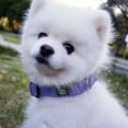 thumbnail image 2 of xianyou-Reflective Dog Collar and Leash Set,Adjustable Neoprene Padded Dog Collars for Puppy, Breathable Nylon Pet Collar for Small Medium Large Dogs(Small,Purple), 2 of 4