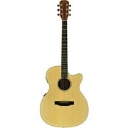 Austin Guitars 25 Series Folk Cutaway Ac