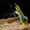 Color C, variant on Glow In The Dark Soft Freshwater Fish Snakemouth Mandarin Swimming Action Lifelike Scented Tackle Fishing Color B 16.5cm