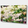 thumbnail image 2 of Belles Fleurs Blanches en Fleurs - Impression sur Toile Florale, 2 of 3