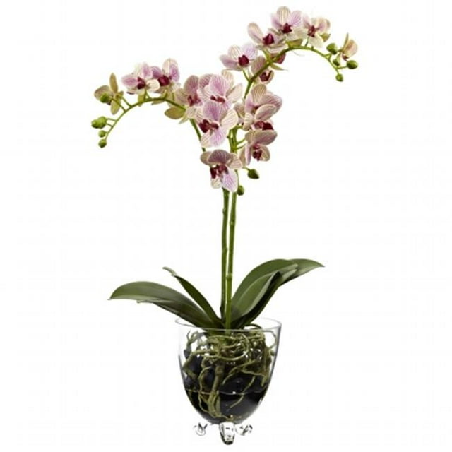 Orchidée à Framboises Arrangement d'Élégance