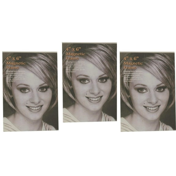 Magnetic Photo Frame - Rigid Vinyl Protector 3 Pack (4" x 6")