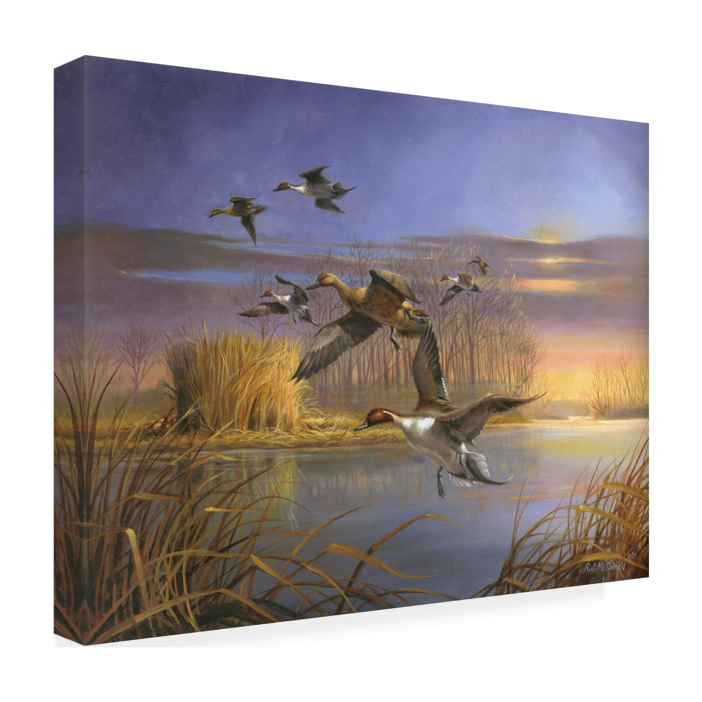 R.J. McDonald 'Pintail Magic' Canvas Art