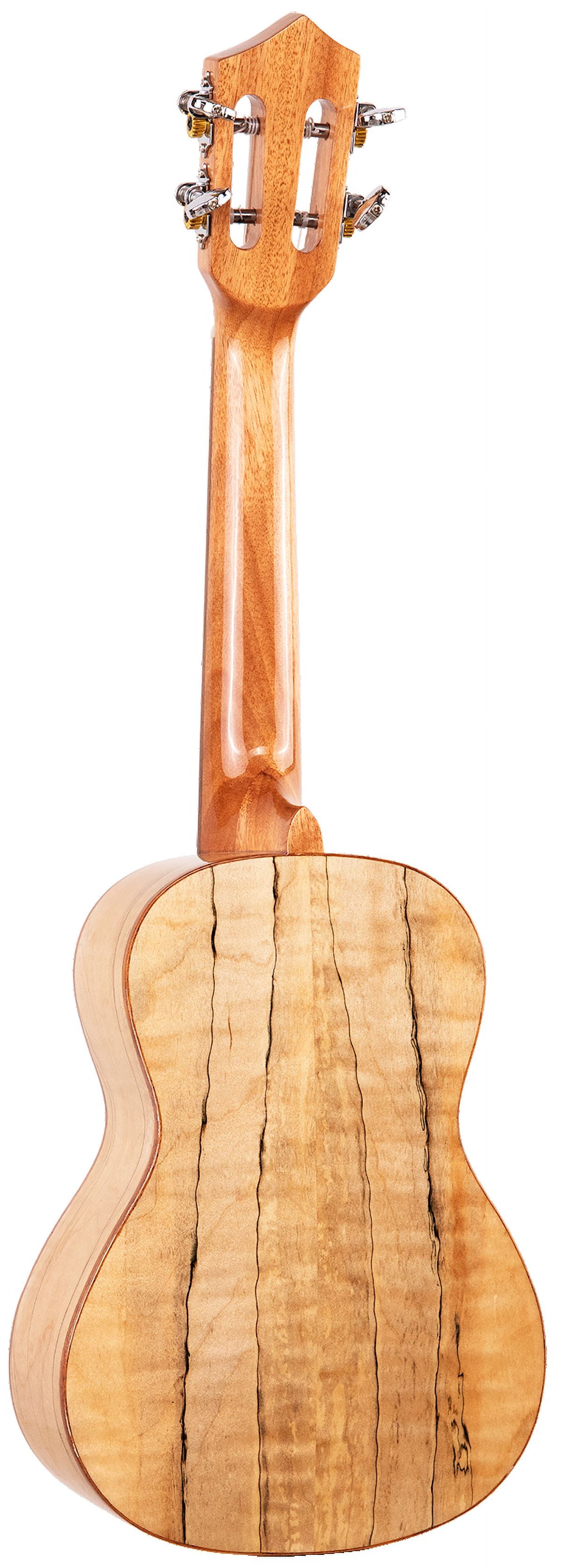 Eddy Finn Expression Series Concert Ukulele with Gig Bag, Spalted Maple