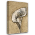 thumbnail image 1 of Kristin Emery 20x32 Gallery Wrapped Canvas Wall Art Titled - Lily I, 1 of 4